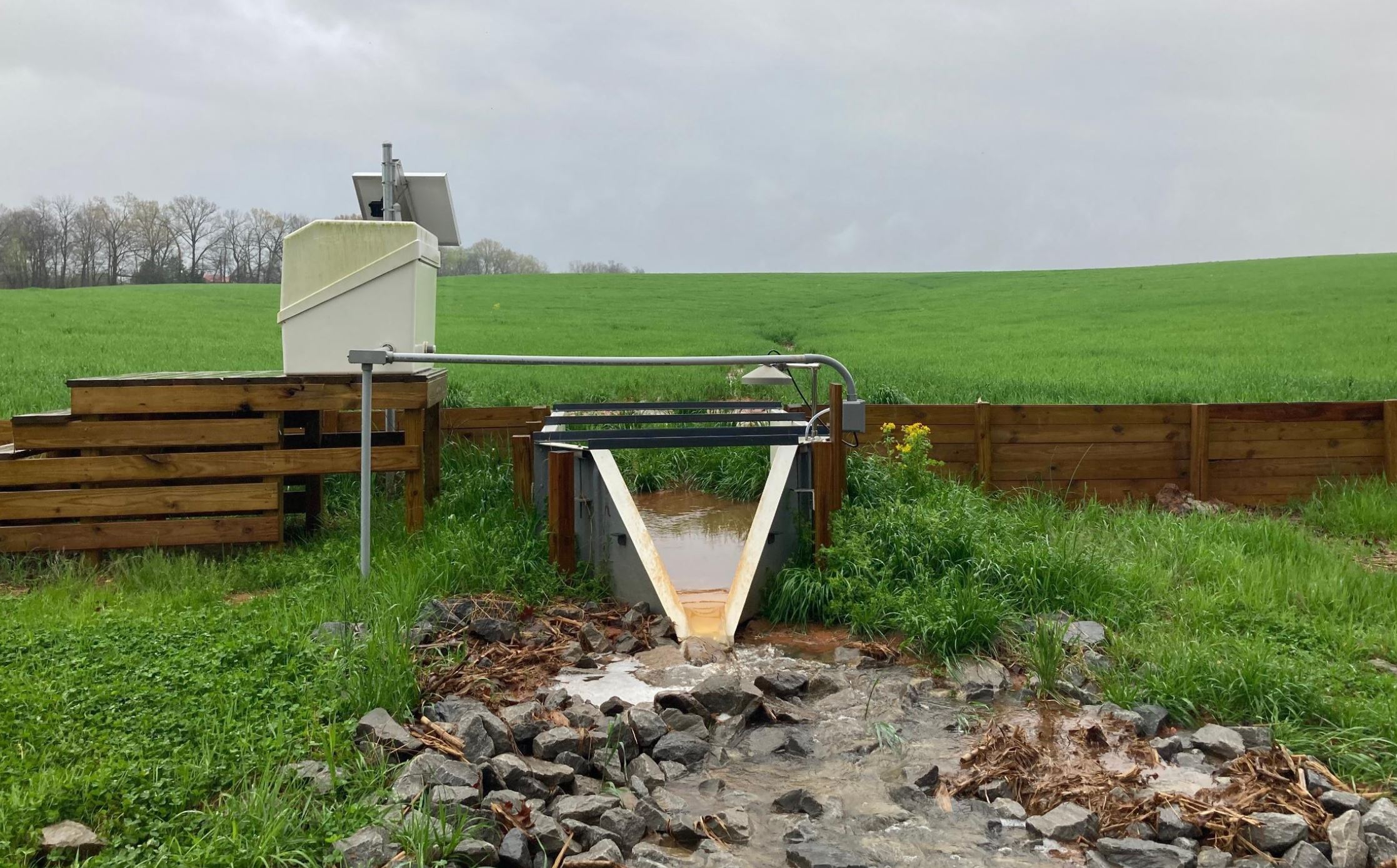 Water quality monitoring