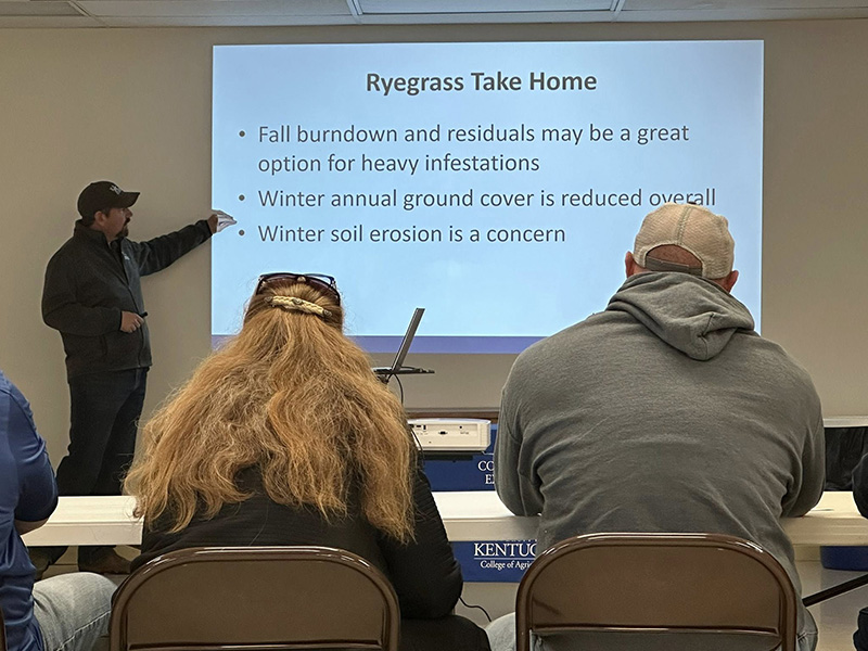 Italian ryegrass control recommendations