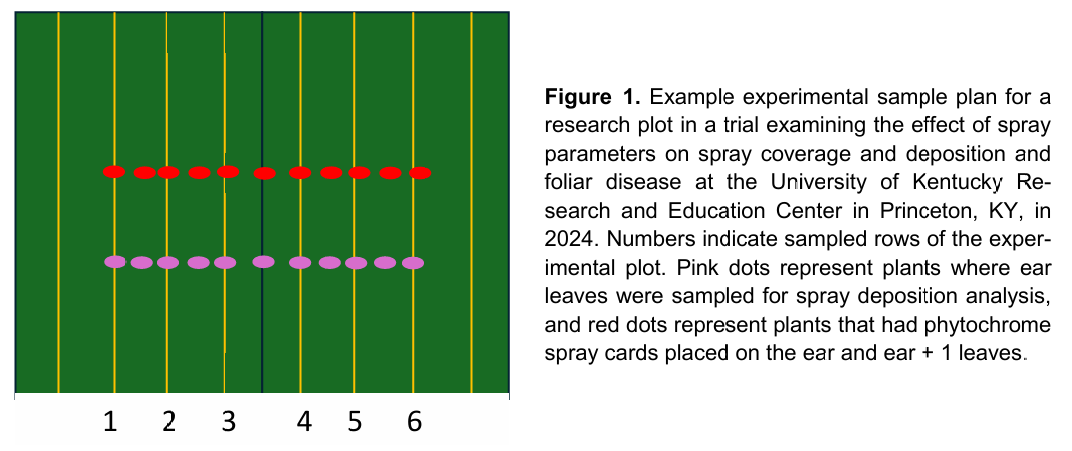 experimental sample plan for research plot