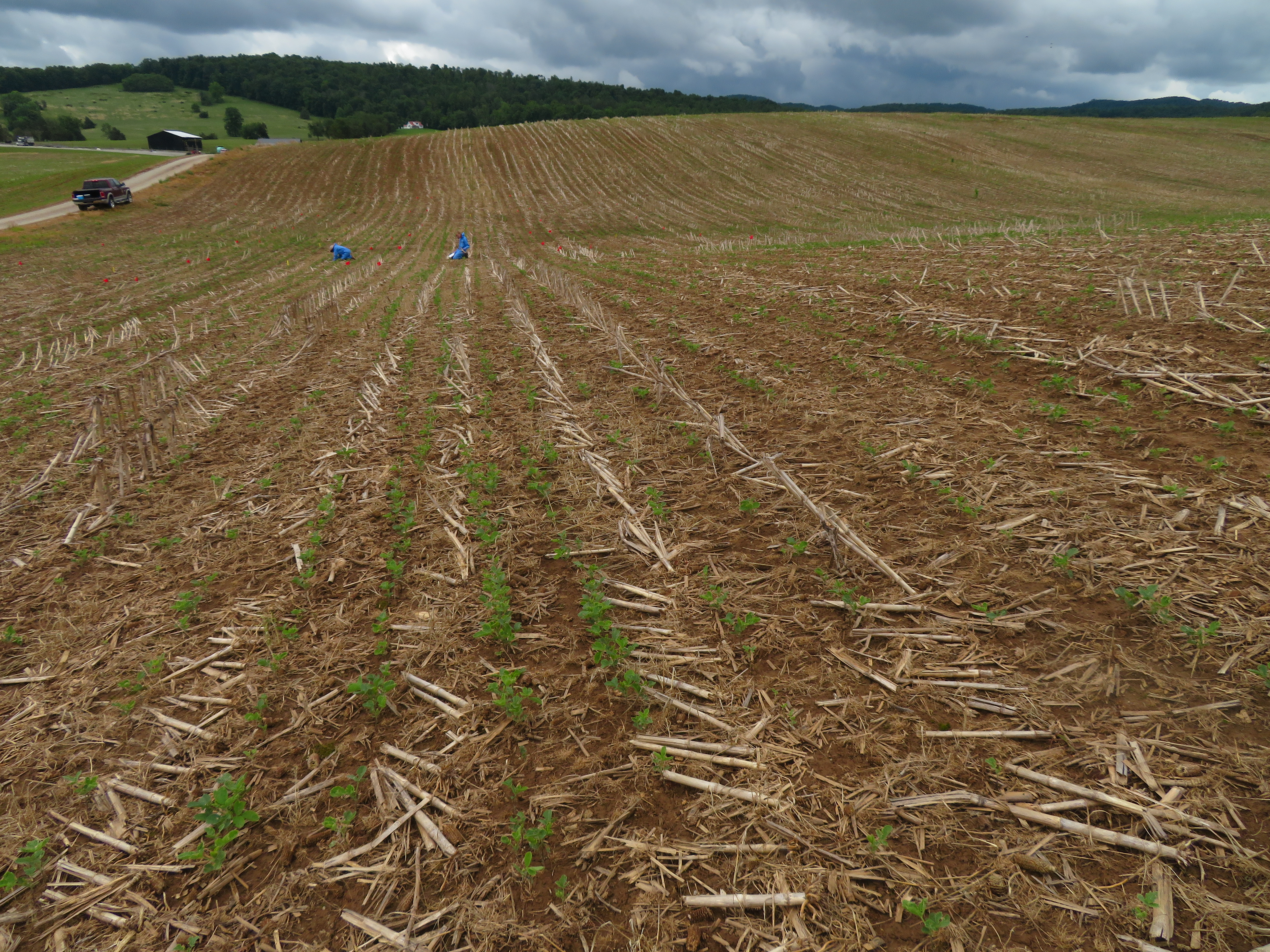 2026 IPM Training School Meeting