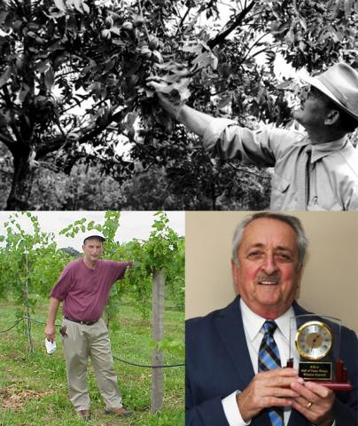 UKREC horticulture specialists, Armstrong, Moore, Dunwell